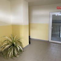 426_9090163801.jpg